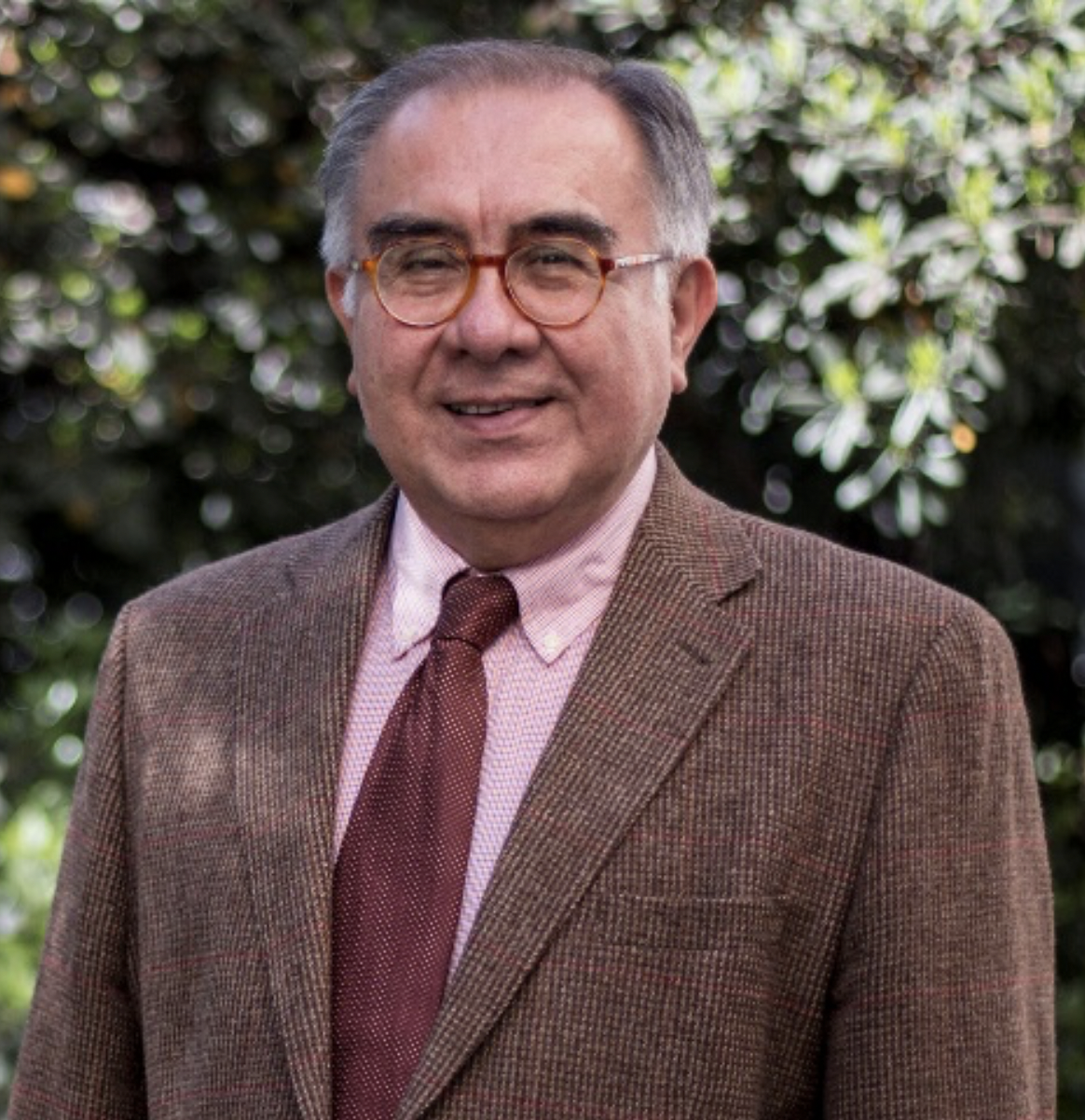 Dr. Manuel Santos Alcántara